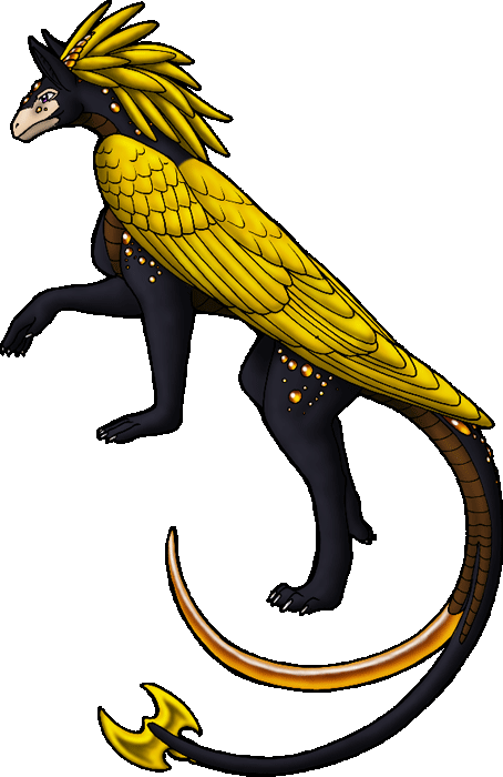Black and Gold Mutt Veretus Cerex